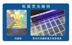 化學茄子视频色版下载